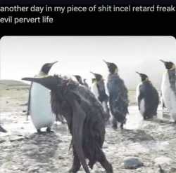 14 KB