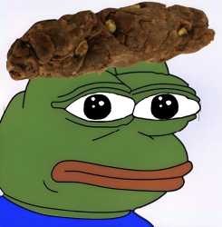 14 KB