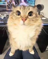 14 KB