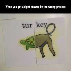 14 KB