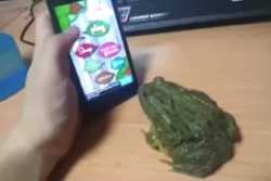 14 KB