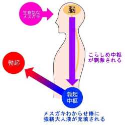 14 KB