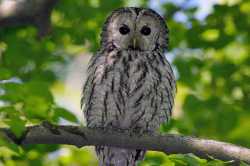 14 KB