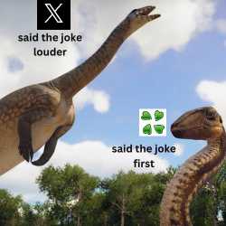 14 KB