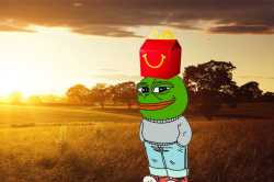 14 KB
