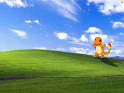 14 KB