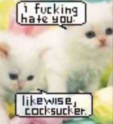14 KB