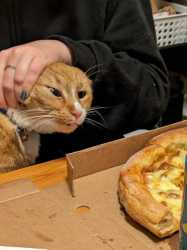 14 KB