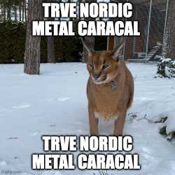 14 KB
