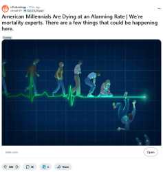 14 KB