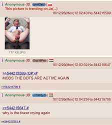 14 KB