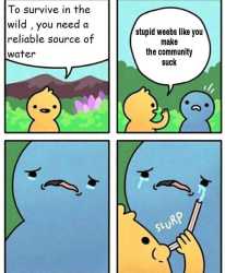 14 KB