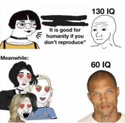 14 KB