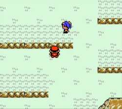 14 KB