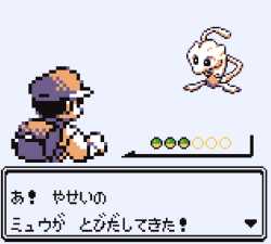 14 KB