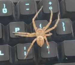 14 KB