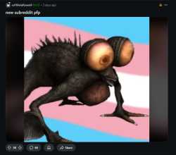 14 KB
