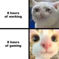 14 KB