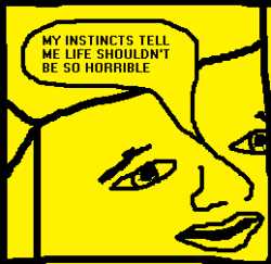 14 KB