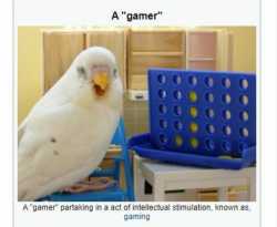 14 KB