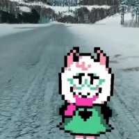 14 KB