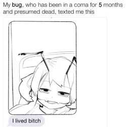 14 KB