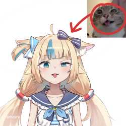 14 KB