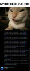 14 KB