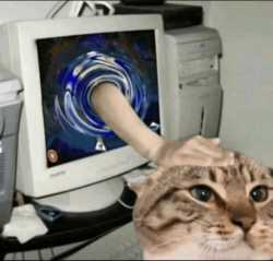 14 KB