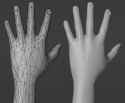 hand_topology