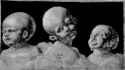 Three children&#039;s heads, 1506 Albrecht Durer