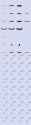 Strega-face__mouth-SHEET1