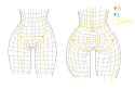 pelvis wireframe