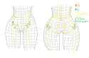 pelvis wireframe 2