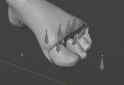 Lune Foot