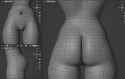 pelvis topology