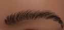 Improved eyebrows swoop
