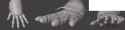 fingerplates