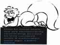 36 KB