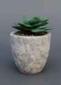 531 KB