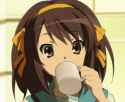 haruhi_coffee