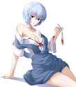 __ayanami_rei_neon_genesis_evangelion_drawn_by_geez__e0c69a3117e886648b57fc03a405e26b