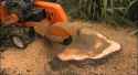 stump-grinding