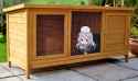 rabbit hutch