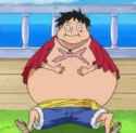 fat luffy