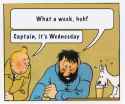 what a week huh captain it&#039;s wednesday