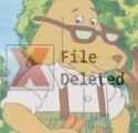 janny_file_deleted