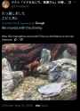 Screenshot_2025-05-15-15-24-18-009_com.android.chrome