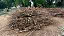 BundleofSticks