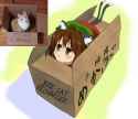 jerkcat